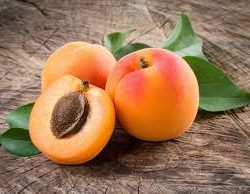Apricot