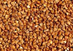 Buckwheat Grits Toasted