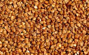 Buckwheat Toasted Kasha