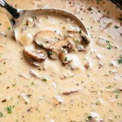 Cream Of Mushroom