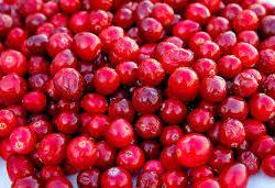 Organic Cranberry Splash Mix