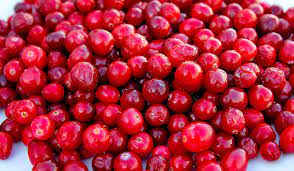 Organic Cranberry Splash Mix