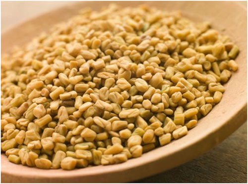 Dried Fenugreek Leaves - 6x100 GR