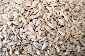 PROSPERITY - Sunflower Kernel Raw - 1.5K