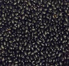 Black Turtle Beans