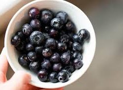 Blueberry Fruit Bits