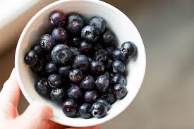 Blueberry Fruit Bits