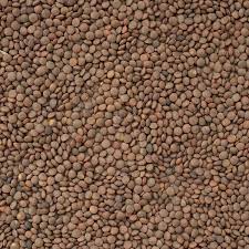 Brown Lentils