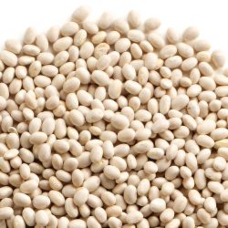 Navy Beans
