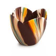 Medium Pastel Marbled Tulip